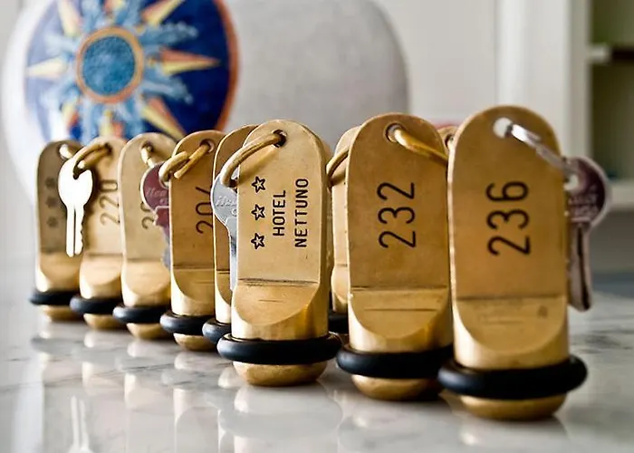 内图诺酒店 酒店 3*