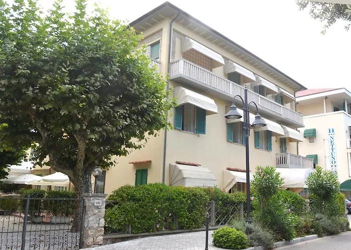 Hotel Nettuno Marina di Pietrasanta